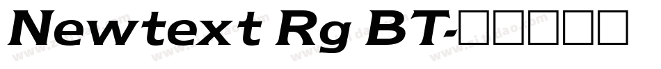 Newtext Rg BT字体转换